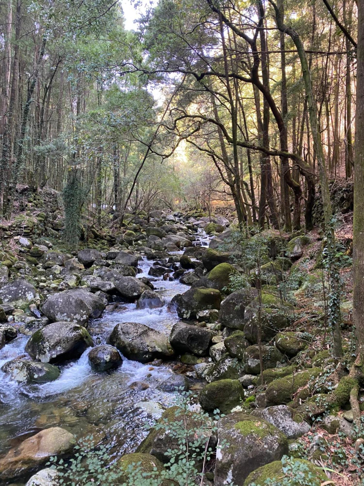 Casa Do Campo Lestrove Βίλα Padrón Εξωτερικό φωτογραφία