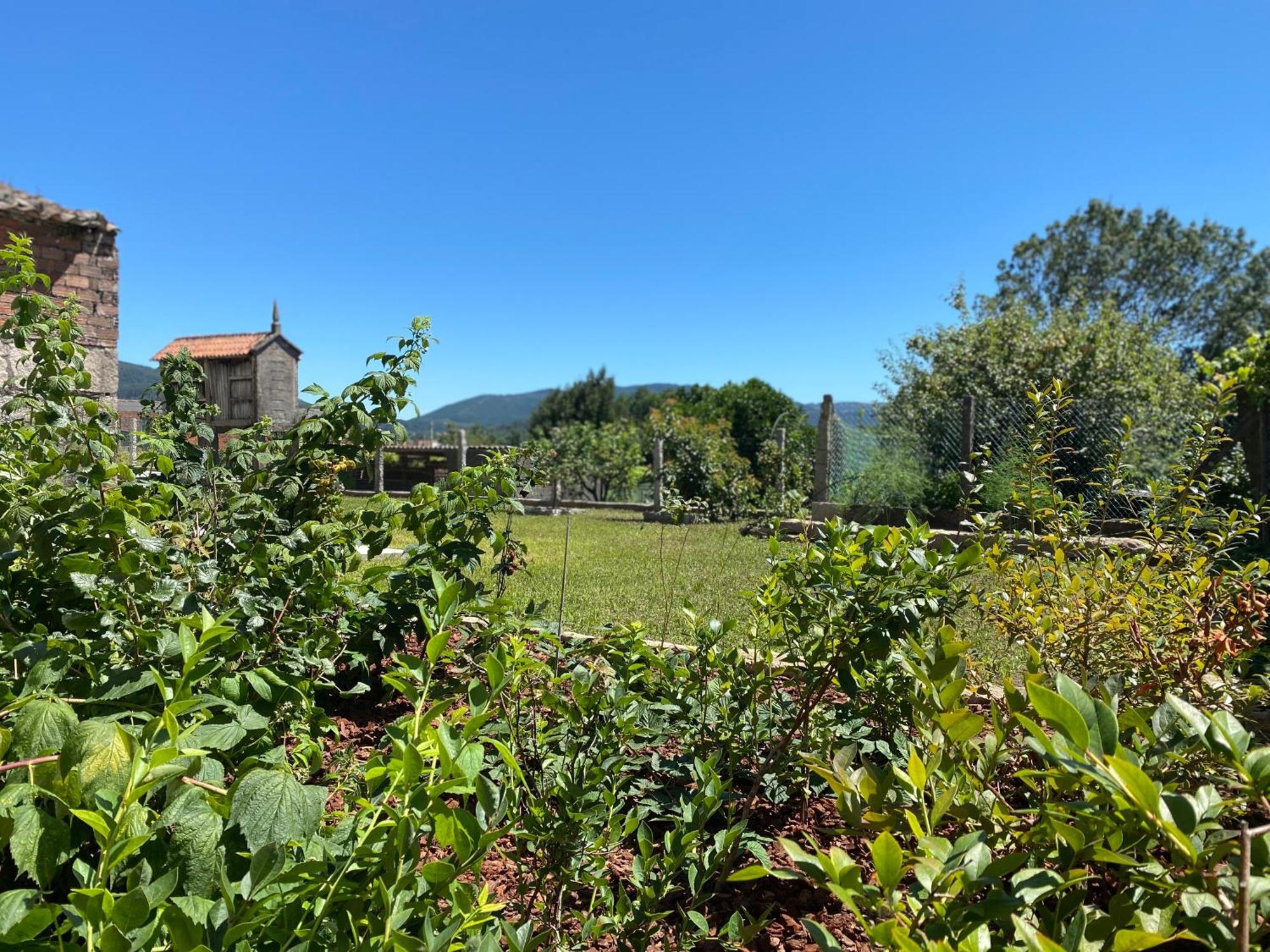 Casa Do Campo Lestrove Βίλα Padrón Εξωτερικό φωτογραφία