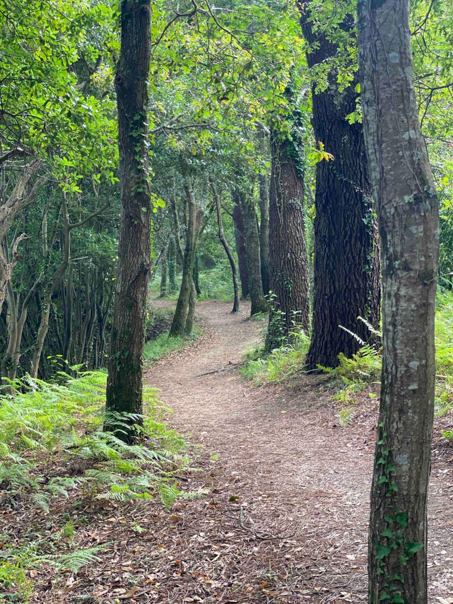Casa Do Campo Lestrove Βίλα Padrón Εξωτερικό φωτογραφία